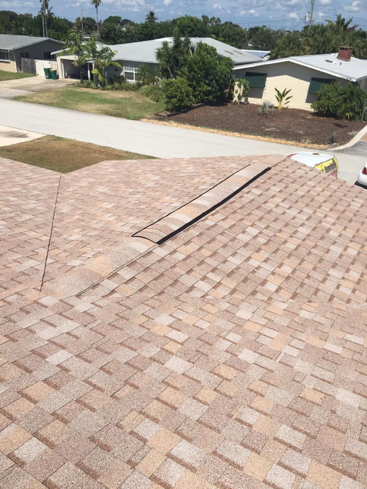 asphalt shingles